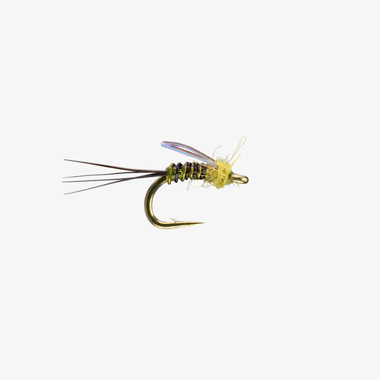 Flashover Olive 