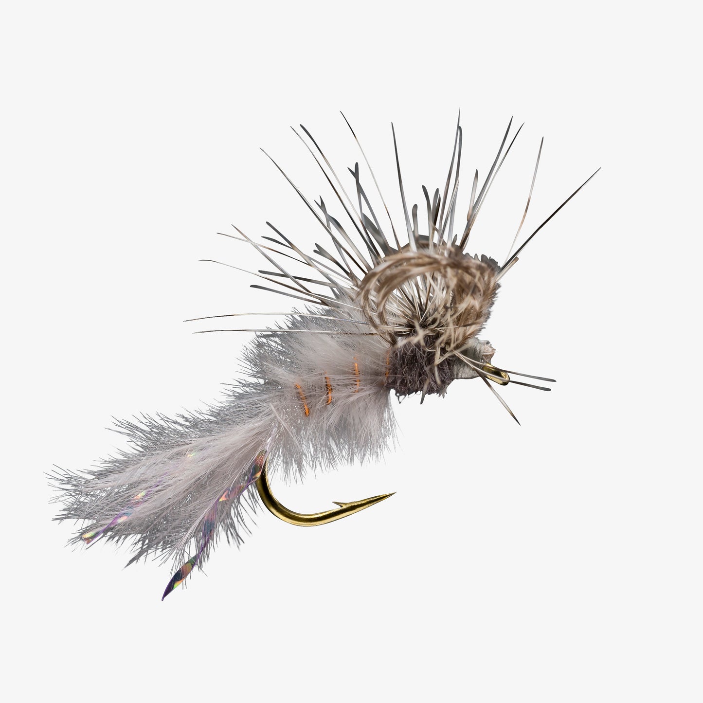 Loopy Callibaetis 