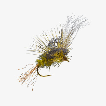 Loopy GreenDrake 