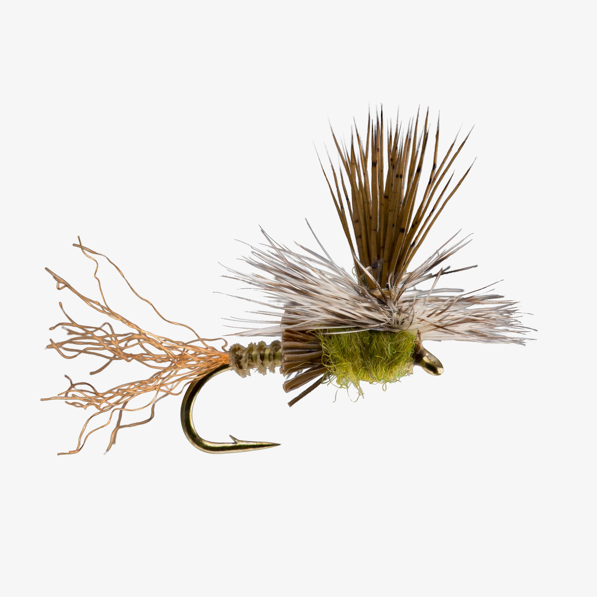 Paracripple Baetis 
