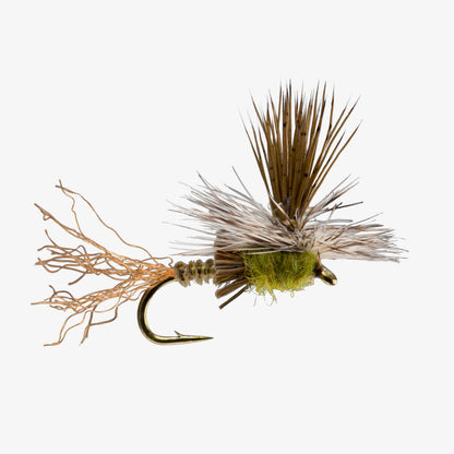 Paracripple Baetis 