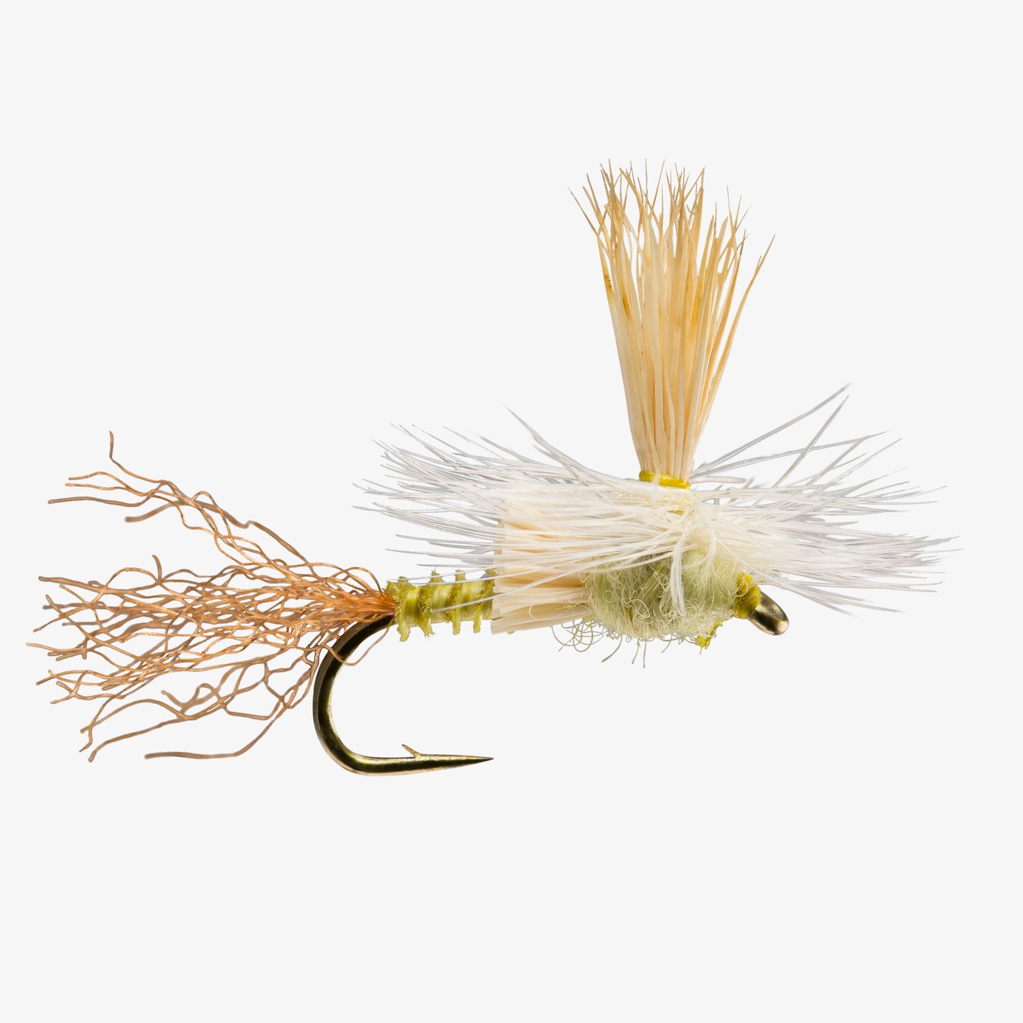 Paracripple PMD 