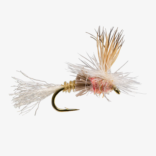 Paracripple Pink 