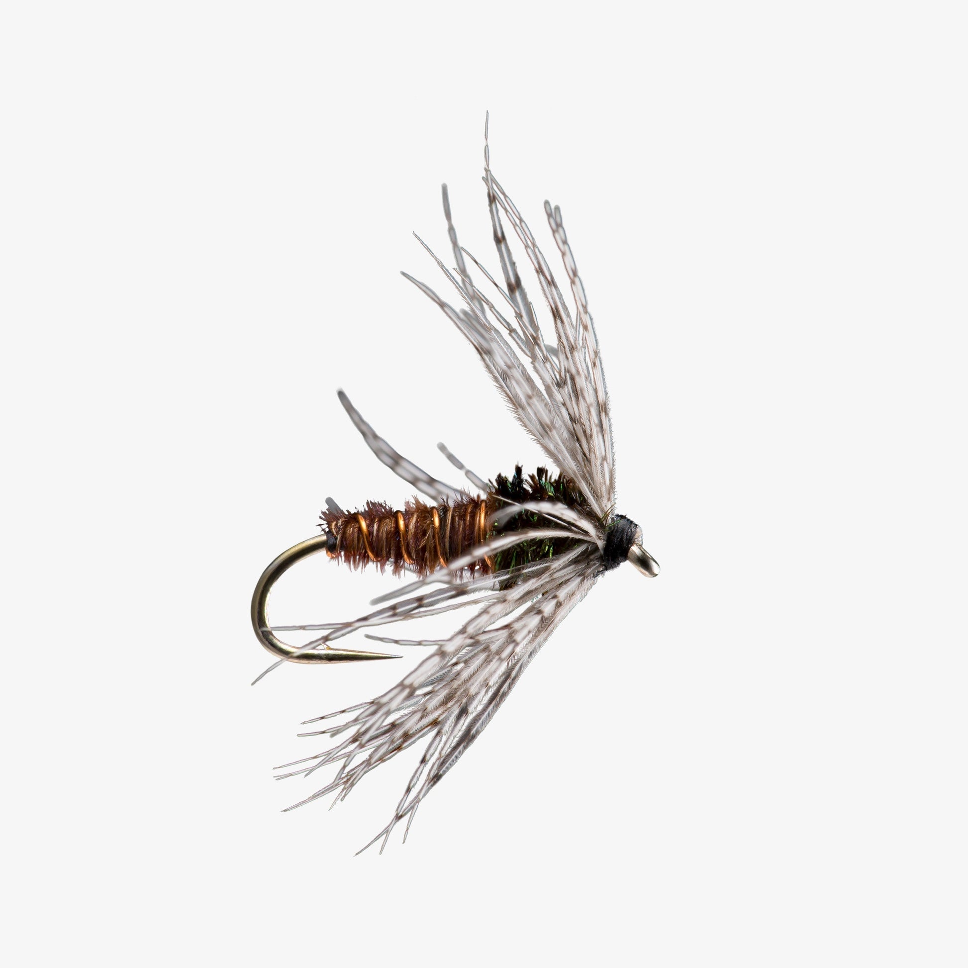PartridgeSoftHackle Pheasant 