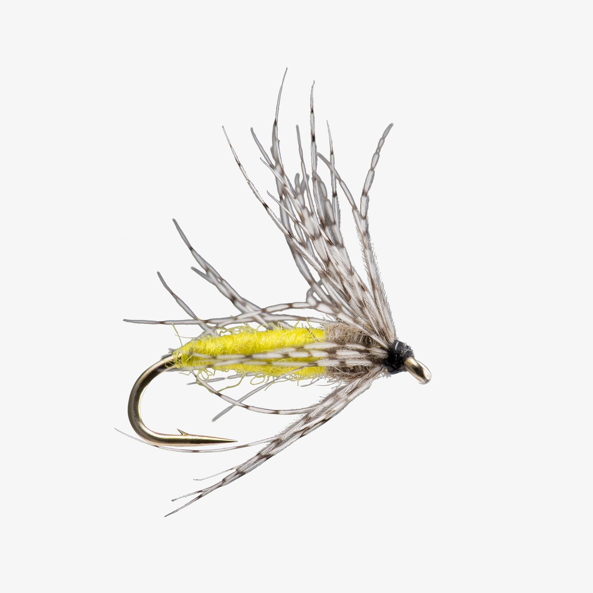 PartridgeSoftHackle Yellow 