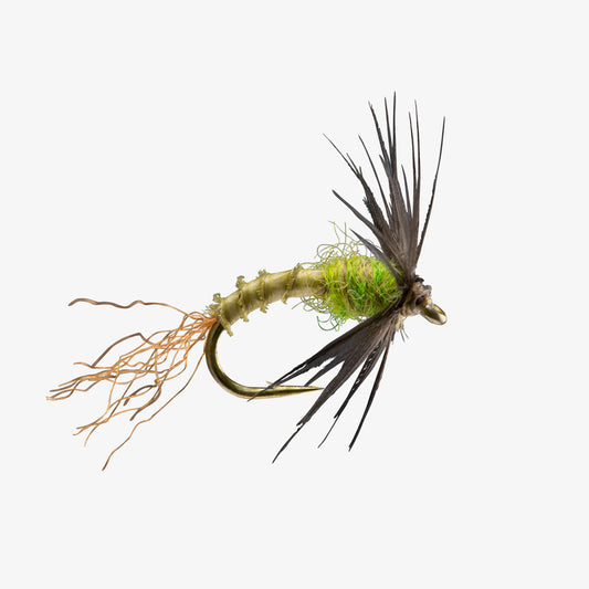 SoftEmerger BWO 