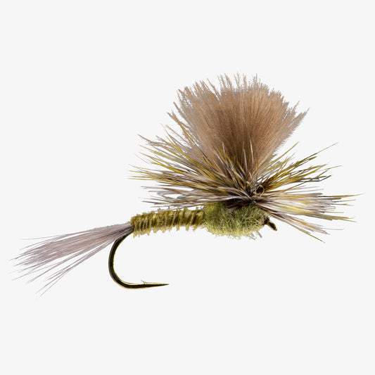 GreenDrakeParachute Green 