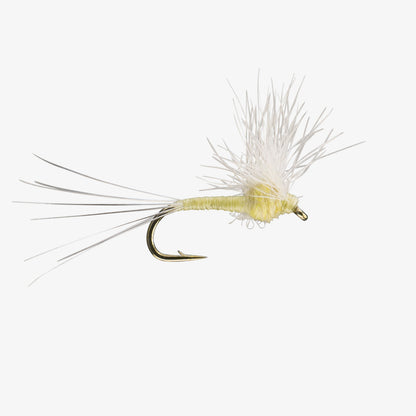 Hackle Stacker Fly PMD 