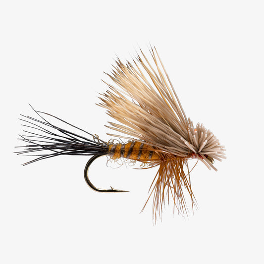 HairwingDrake Brown 