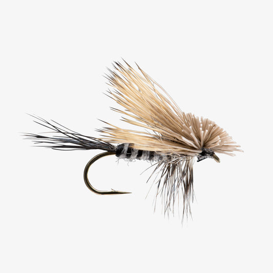 HairwingDrake Gray 