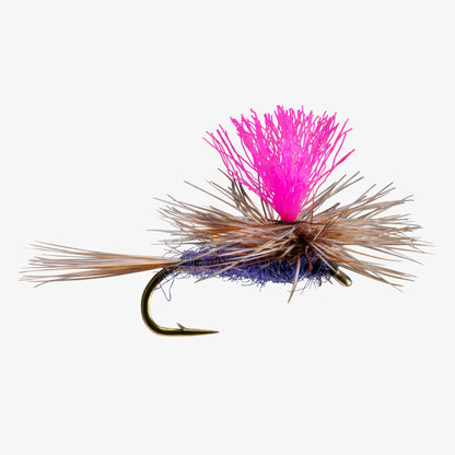 HiVisParachute Purple 