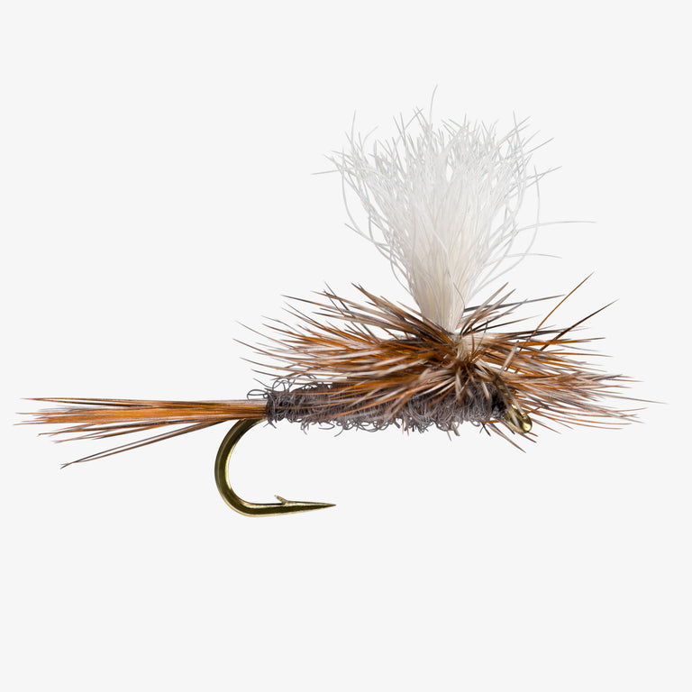 ParachuteAdams Calf 