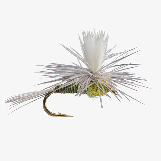 QuillBodyParachute Baetis 