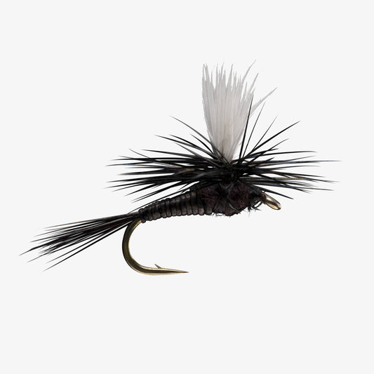 QuillBodyParachute Black 