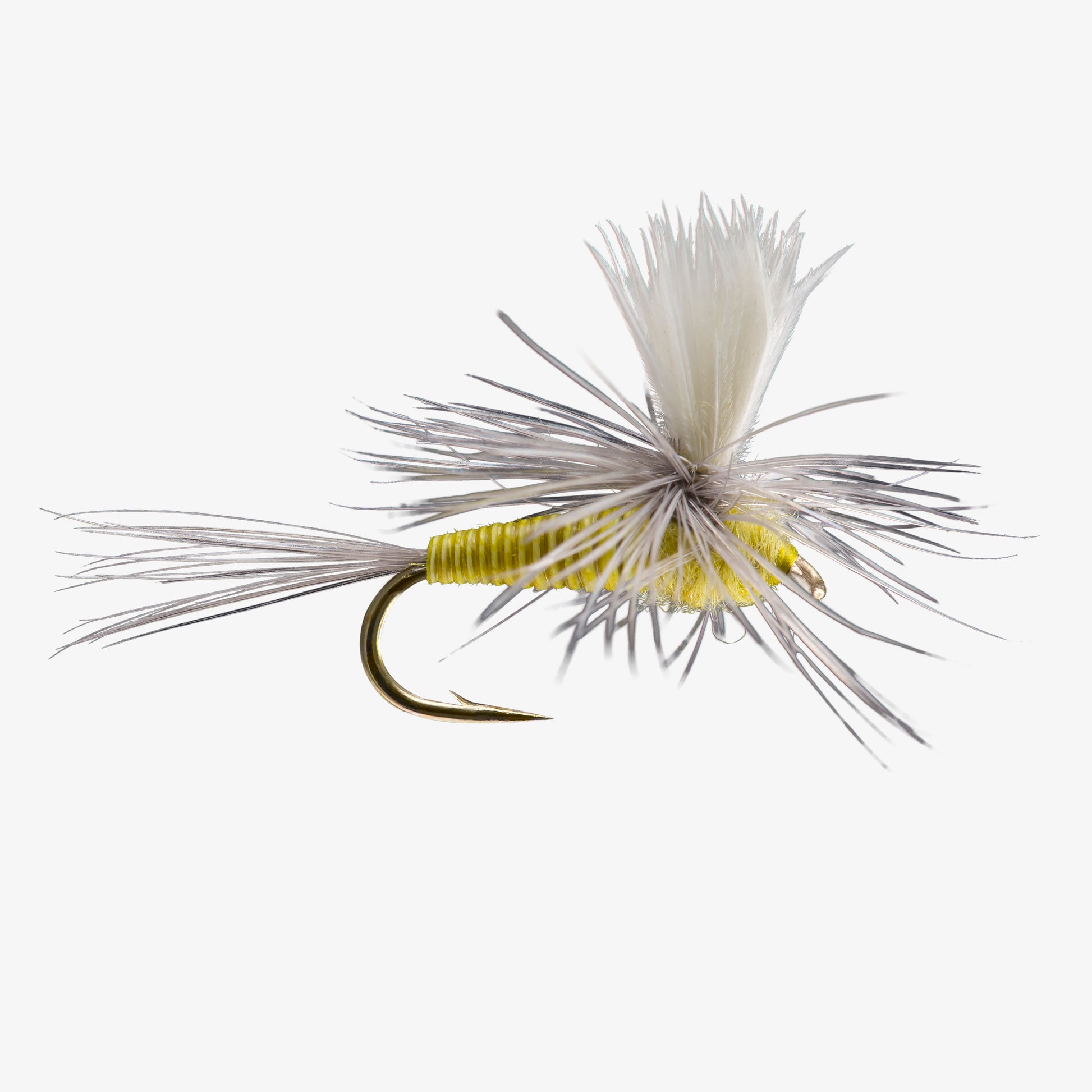 QuillBodyParachute PMD 