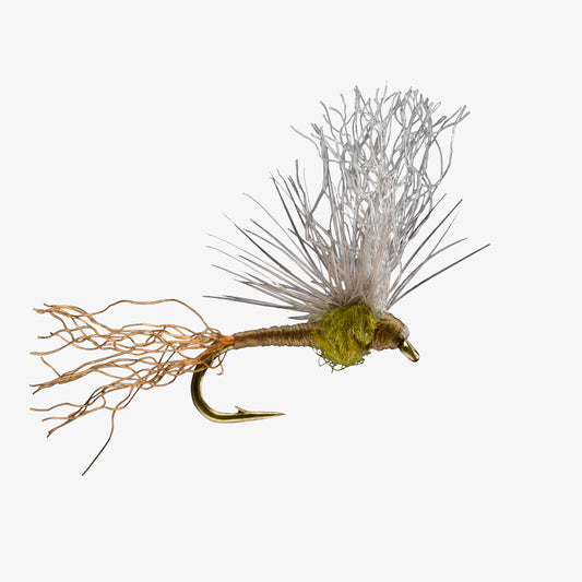 SparkleFlag BWO 