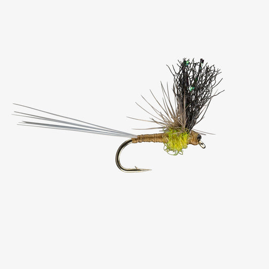 SplitFlag BWO 