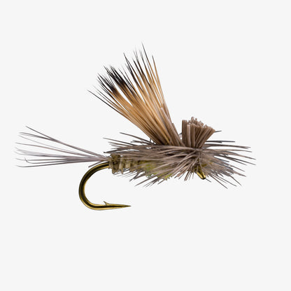 TiltWingDun BWO 