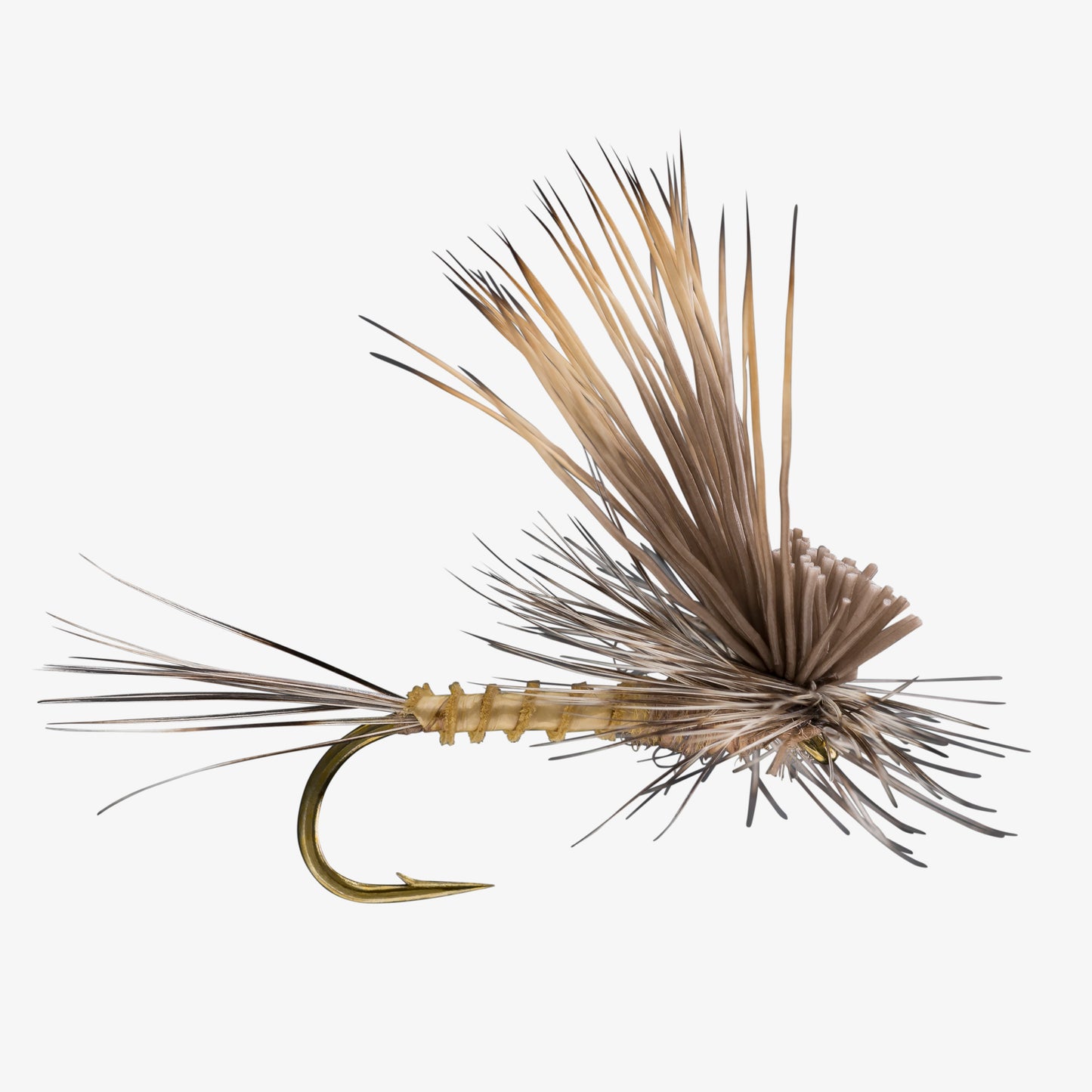 TiltWingDun Callibaetis 