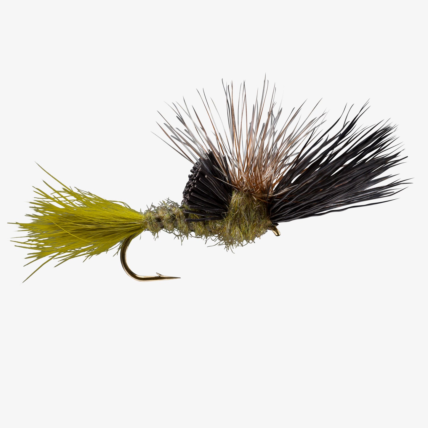 VictoryDrake Green 