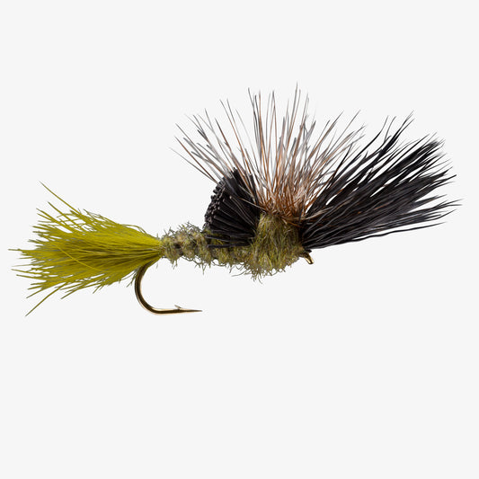 VictoryDrake Green 