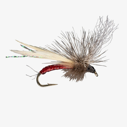Blood Midge