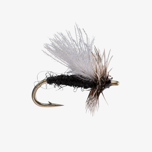 CDCMidgeAdult Black 