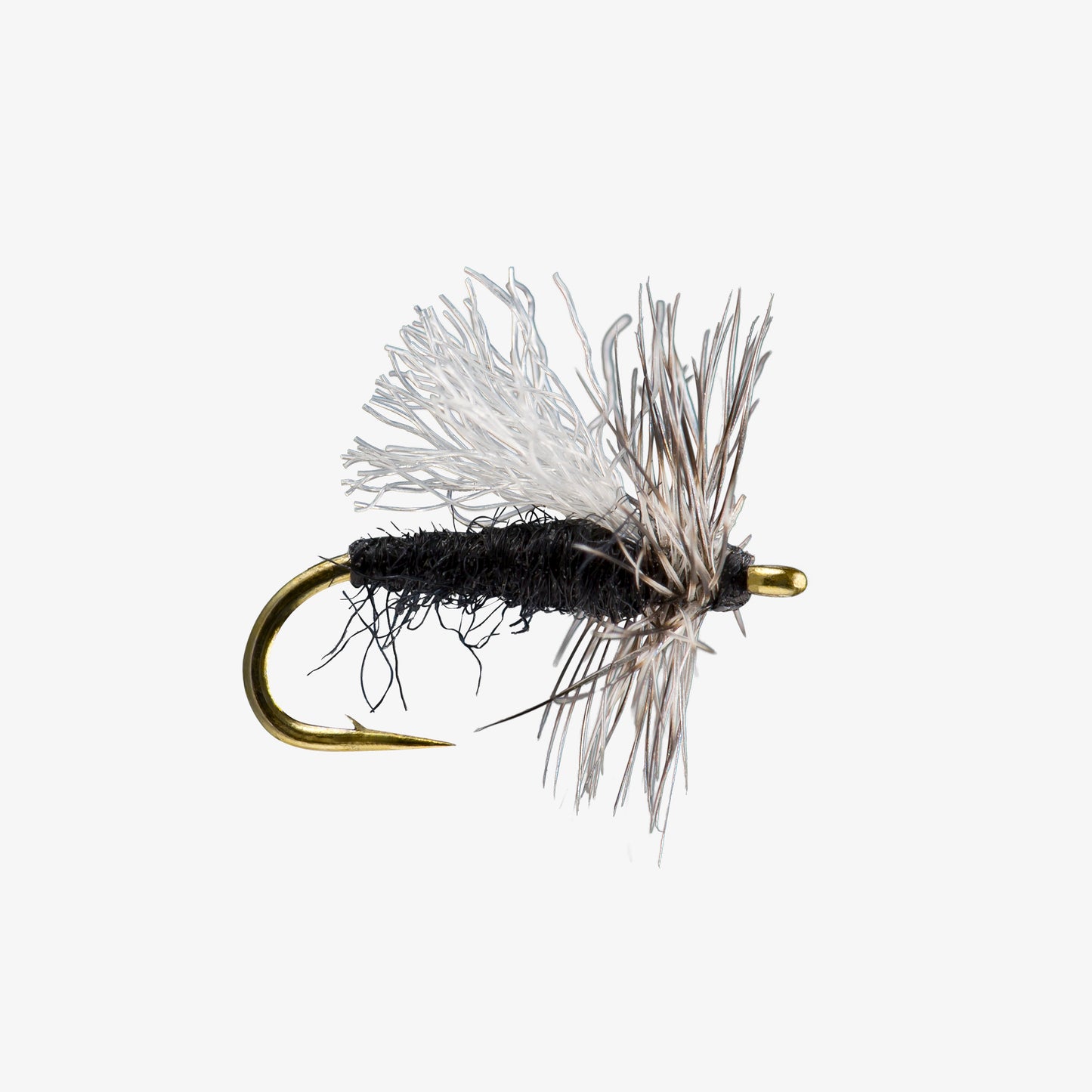 MidgeAdult Black 