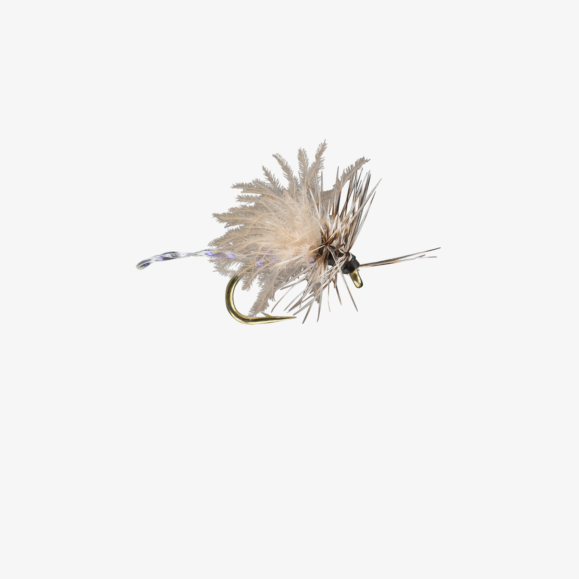 RIO's CaviarMidge Gray 