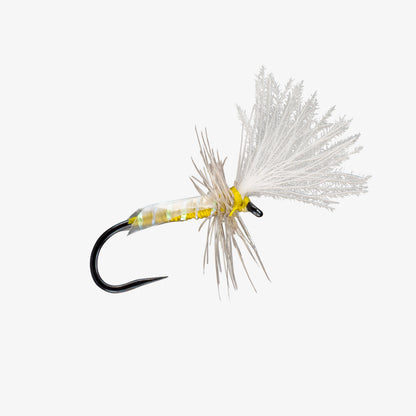 SlickMidgeAdult Olive 