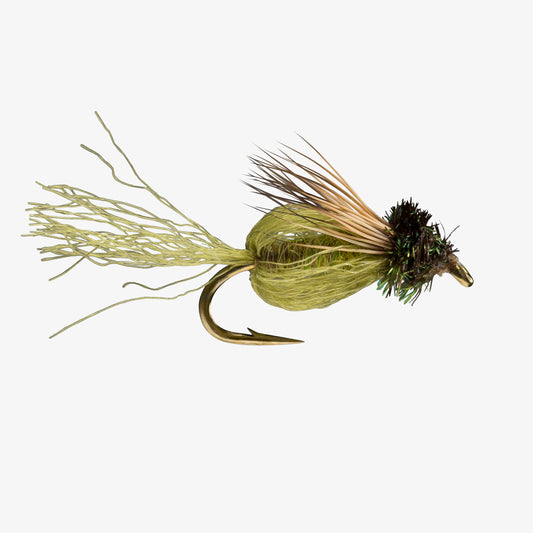 CaddisSparklePupa Olive 