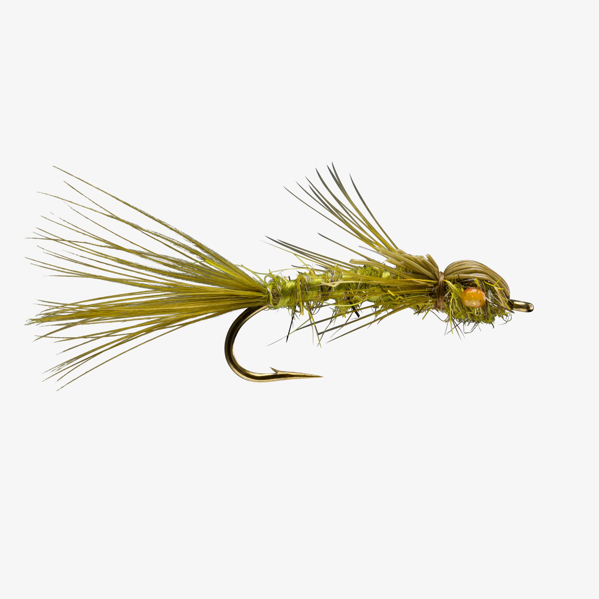 DaintyDamsel Olive 