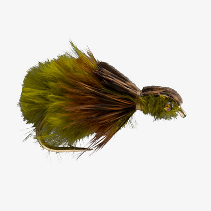 FatAssDragon Olive 