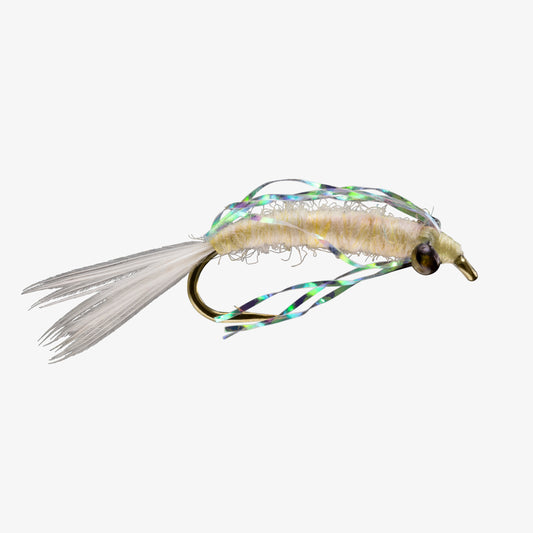 MysisShrimp 
