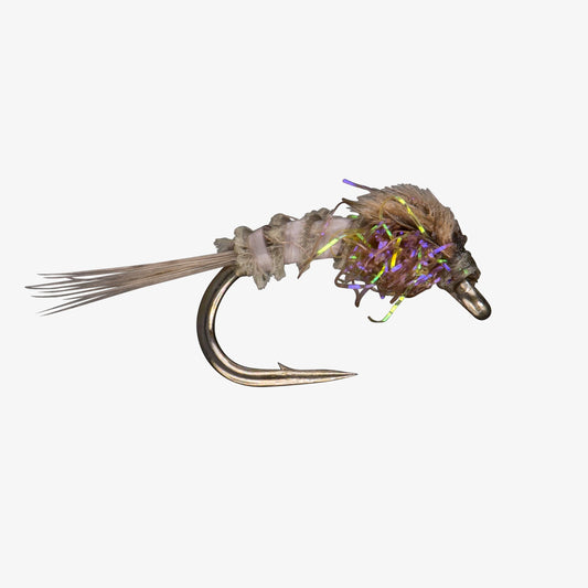 Quill Body