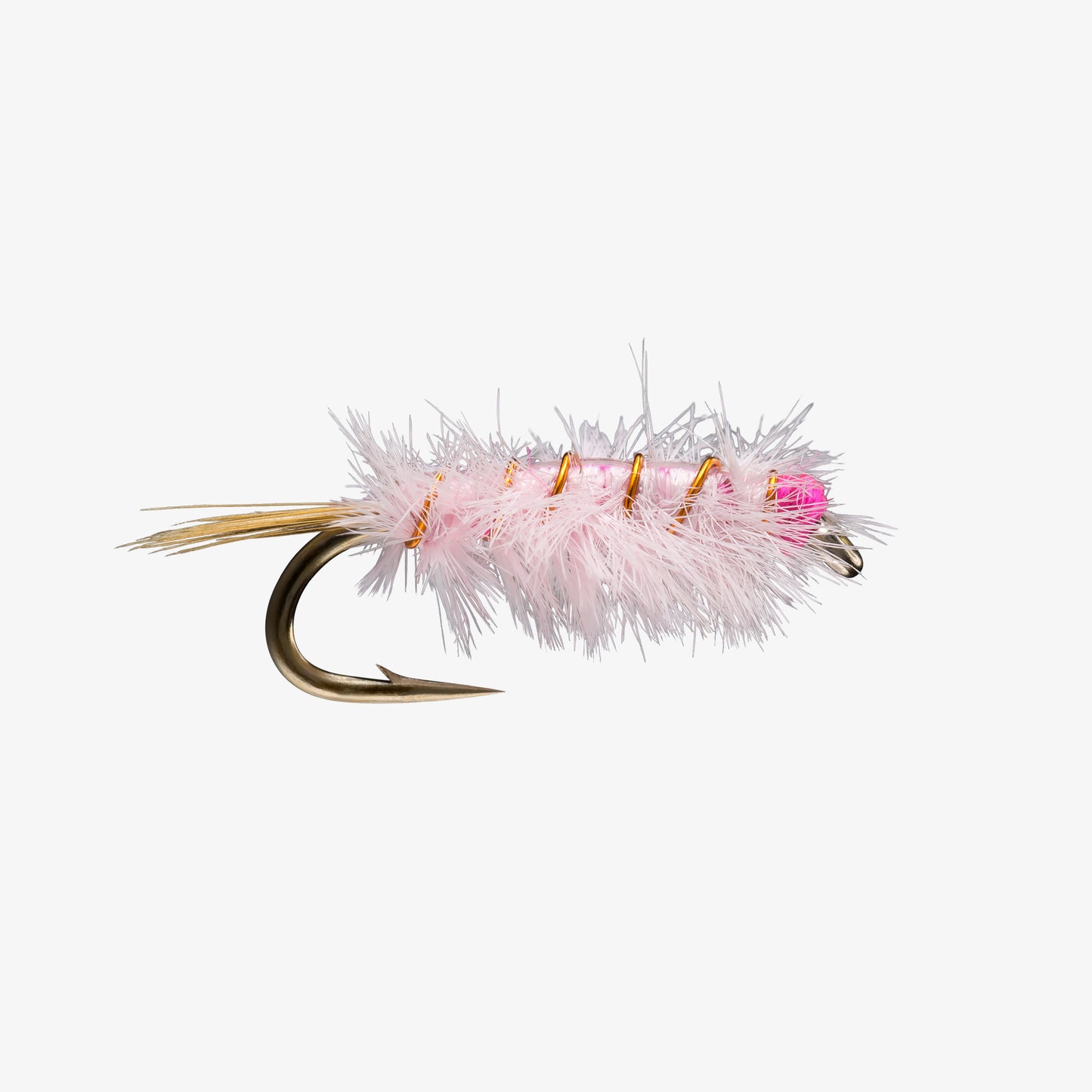 RayCharles Pink 