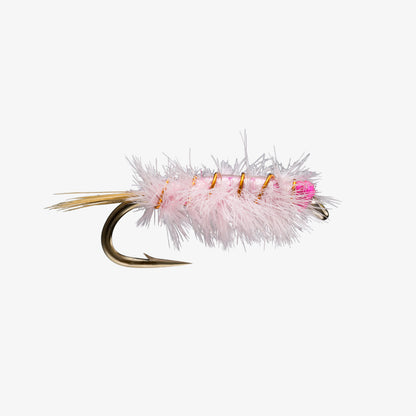 RayCharles Pink 