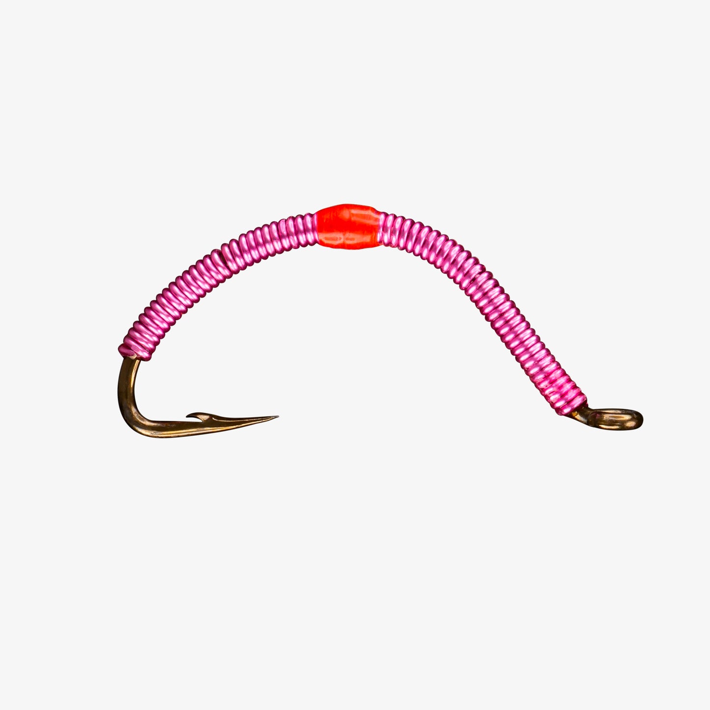 Wire Worm