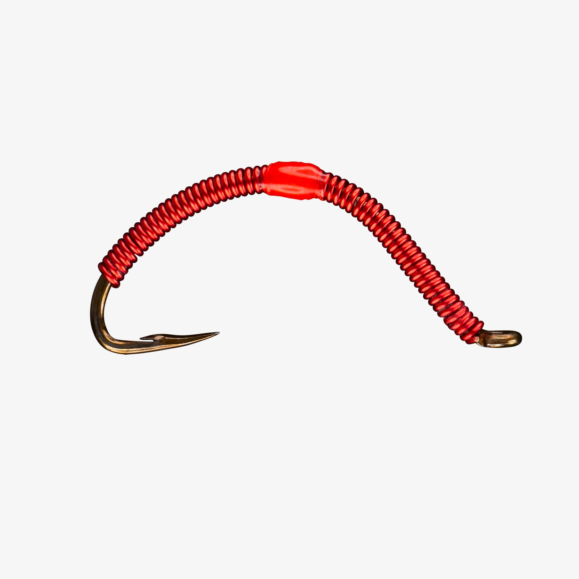 Wire Worm