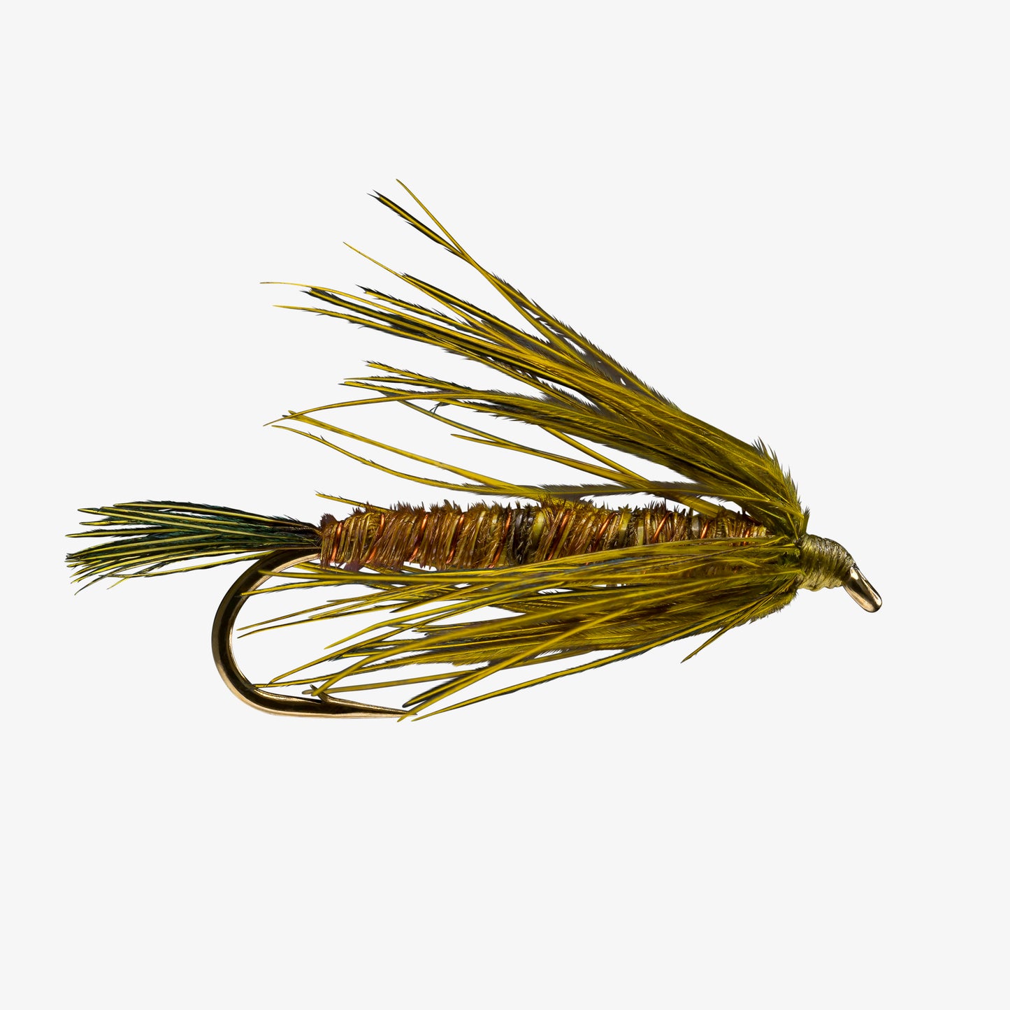 CareySpecial Peacock 