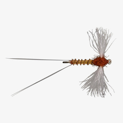 CDC Spinner