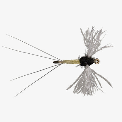 CDC Spinner