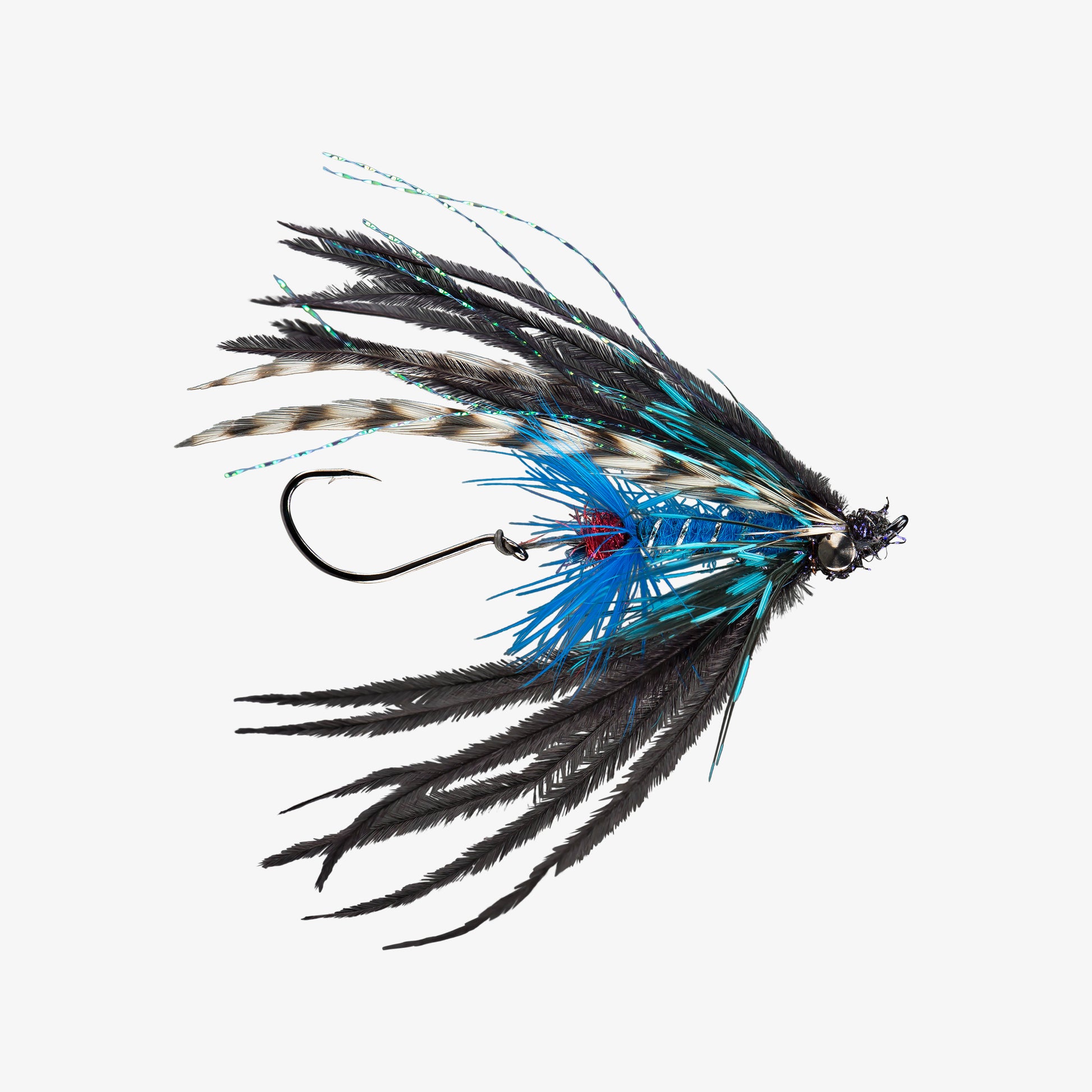 Bantam Black Blue 