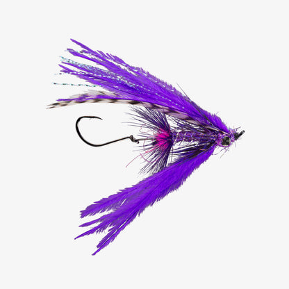 Bantam Purple 