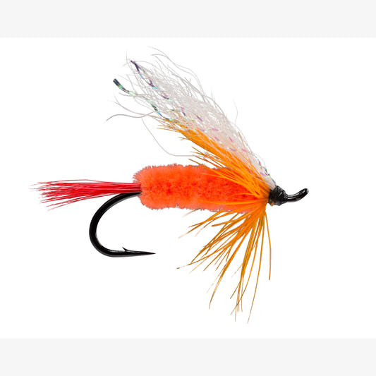 PolarShrimp 