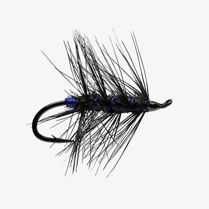 RIO's Rerun Black Blue 