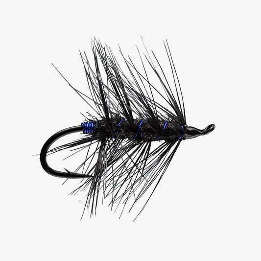 RIO's Rerun Black Blue 