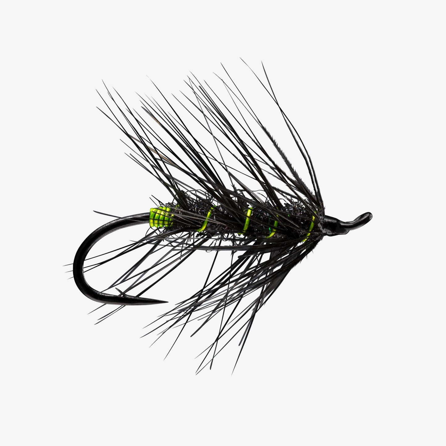 RIO's Rerun Black Chartruese 