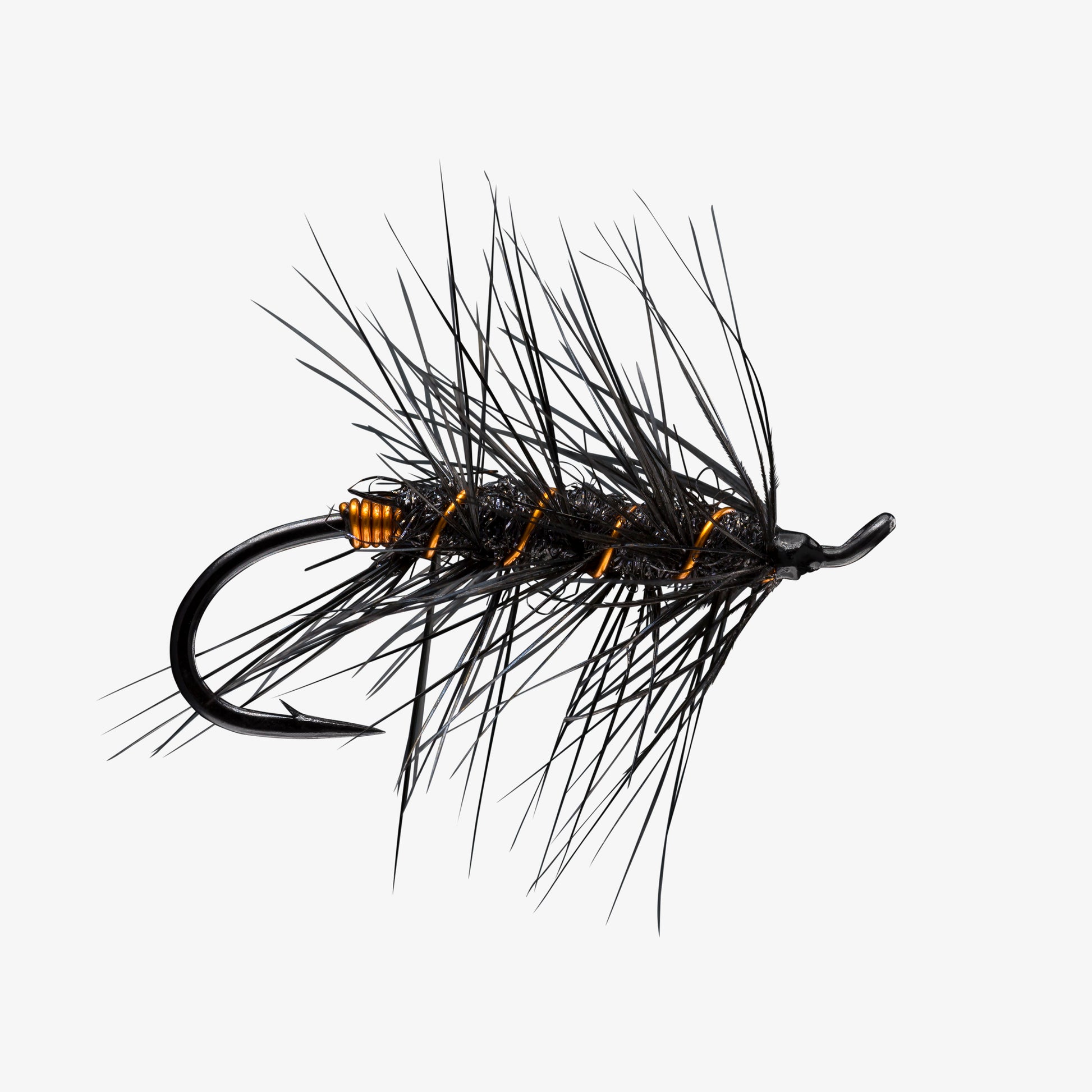 RIO's Rerun Black Copper 