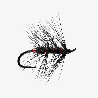 RIO's Rerun Black Red 